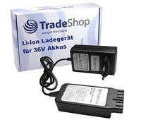 Trade-Shop Cargador con fuente de alimentación compatible con Hilti TE 60-A36, TE6A, TE 6A, TE6-A36, TE 6-A36 AVR, batería de iones de litio (36 V)