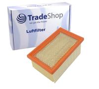 Trade-Shop Filtro de aire/filtro de papel compatible con BMW 7706414, 13 71 7 706 414, 13717706414, 13 71 7706414, 13717706 414 / Accesorios para moto