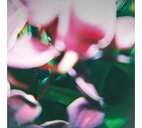 Trade Wind - You Make Everything Disappear