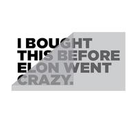 tradercat Pegatina divertida para coche con texto «I bought thiss before elon went crazy», texto en negro, aprox. 11,5 x 5,5 cm, vinilo resistente y resistente a la intemperie