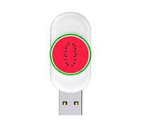 Trailrest Pequeño Tamaño 4G Flash Drive Memory Stick Pen Drive USB2.0 USB Stick Flash de Alta Velocidad Unidad de Pulgar Baratos Originales (Watermelon Red, One Size)