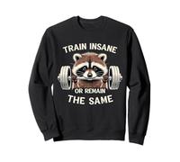 Train Insane or Remain The Same Raccoon Gym Workout Sudadera