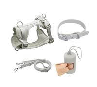 Training Leash Arnés para mascotas, juego de 4 piezas, collar y correa de PVC para perros pequeños (gris, XS)