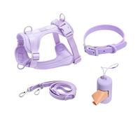 Training Leash Arnés para mascotas, juego de 4 piezas, collar y correa de PVC para perros pequeños, (Purple,S)