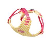 Training Leash Arnés para perros con correa - A prueba de escapes, bonito, para perros pequeños y medianos (amarillo brillante, M)