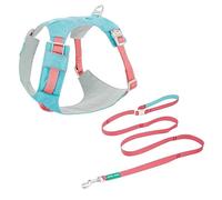 Training Leash Correa y arnés de nailon para perros - Ajustable para perros pequeños, medianos y grandes (Teddy, Corgi, etc.)(Pomegranate Green,S)