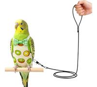 Traje de pájaro : ropa de loro transpirable cómoda para guacamayos, gorriones, periquitos, pájaros del amor, periquitos Conures | Tejido ligero con correas ajustables, arnés de seguridad para
