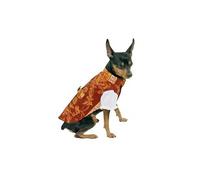 Traje de Saraguey para Fallas - Ropa para Perro - Talla 20 - Ideal para Ambientar a tu Mascota en Valencia - Colocación Sencilla con Velcro - Abertura en la Parte Inferior - Mi&Dog