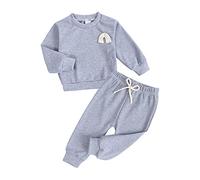 Traje Informal Infant Toddler Newborn Baby Boys Manga Larga sólido Sudadera Blusa Tops Pantalones Traje Conjunto 2 uds Ropa Trajes De Halloween De Azafata (Grey, 18-24 Months)