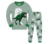 Trajes De Indios Pijamas para niños pequeños de algodón de Dinosaurio de 2 Piezas de Tren para niños pequeños Ropa de Dormir otoño Invierno Conjunto de Ropa Trajes De Baño Piezas (GN1, 4-5 Years)