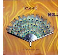Tramaine - In the morning time (Shout Mix, 1985) [VINYL]