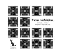 Tramas morfológicas: Una Interfascze de Sentido y Estructura