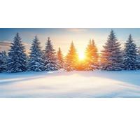 Tramonto Diamond Painting Adultos Nevicare Pintura Diamante Kit, Punto De Cruz Diamantes Accesorios Kits Art Niños, Pintura Diamante Cristal Bordado Mosaic, Decoracion Regalo 80x160cm Hz-562