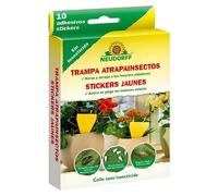 Trampa atrapainsectos (10 ud.)