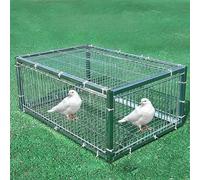 Trampa para palomas a prueba de escape con entrada unidireccional, jaula automática de recogida de pájaros, soldadura de metal, portátil y fácil montaje para un control eficaz de las aves