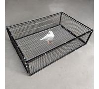 Trampa para palomas a prueba de escape con entrada unidireccional, jaula automática de recogida de pájaros, soldadura de metal, portátil y fácil montaje para un control eficaz de las aves