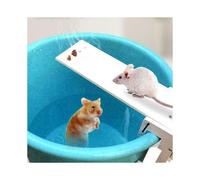 Trampa para ratones Trampa para ratas Walk The Plank Humane Bucket Mice Auto Reset New
