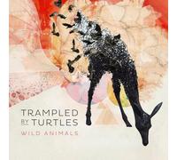 Trampled By Turtles - Wild Animals