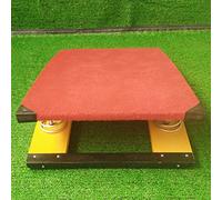 Trampolín curvo de madera para niños, tablero elástico para atletismo, ayuda de salto para jardín de infantes - Carga 55 kg/121 lb, voltereta hacia atrás/salto/giro de artes marciales (2 resortes de