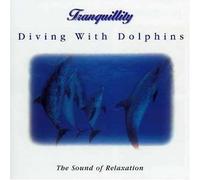 Tranquillity - Diving With Dolphins