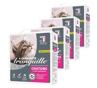 Tranquilo - Cama para Gatitos ultraaglomerante y súper Absorbente - 4,5 litros - Juego de 4