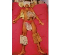 trans-species and shapeshifting encounter: Lygia Clarks künstlerische Methode der Strukturierung des Selbst: 10