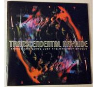 Transcendental Hayride - Things are Going Just The Way They Should