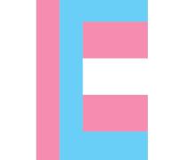 Transgender Flag Hardcover Notebook - 8x11 College Ruled Journal for Writing, School, or Pride Gifts | LGBTQ+ Identity Stationery
