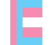 Transgender Flag Paperback Notebook - 7.5x9.5 College Ruled Journal for Writing, School, or Pride Gifts | LGBTQ+ Identity Stationery