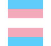 Transgender Pride Flag Lined Paperback Notebook Journal: Transgender Pride Flag 1999