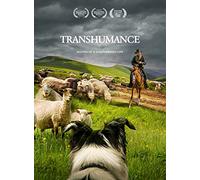 Transhumance: Routes To A Disappearing Life [USA] [DVD]