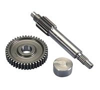 Transmisión Polini primaria 13/44 Minarelli 50cc 2 Stroke (cárter largo)