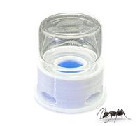 Transparent Ant Feeder, Anti-Drowning Drinking Station for Crickets and, Clear Water Dispenser for Home, Bee Habitat, Outdoor Farm Invertebrate Care 3.6x3.8cm