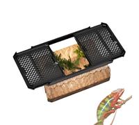 Transparent Lizard Tank for Snakes and Bearded Dragons | Small Reptile Habitat with Sliding Cover | Ideal Breeding Box and Amphibian Enclosure for Your Pets