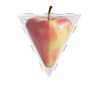 Transparent Vegetable Growth Mold - Cucumber Styling Reusable, Garden Mold with Easy Shape, Growing Form with Secure Fit, Pumpkin Molds for Tomato Yard, Vegetable Molds for Patio Backyard