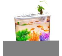 Transparente Micro Paisaje ecológico Peces Tortuga Tanque hidroponía acuarios Caja de cría Mesa Decoración