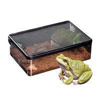 Transparente Reptile Terrarium - Ventilated Feeding Box, Secure Anti-Escape Design, Sturdy Airtight Build, Easy To Clean | Pet Cage, Hatching Container, Escarabajos, Lizardos, Spiders, Escorpiones