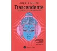 Trascendente. Arte y dharma en tiempos dificiles | Curtis White