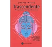 Trascendente: Arte y dharma en un mundo en caos.