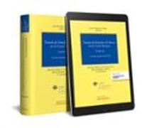 Tratado De Derecho Y Politicas De La Union Europea. Tomo Ix Forma To D