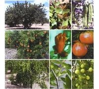 Tratado de fruticultura para zonas áridas y semiáridas (Agricultura)