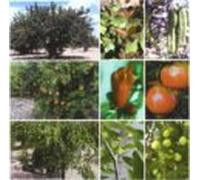 Tratado De Fruticultura Para Zonas Aridas Y Semiaridas (vol. Ii): Alga