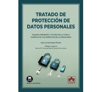 Tratado de protección de datos personales: Pasado, presente y futuro de la tutela jurídica de los derechos de la privacidad: 1 (Monografía)