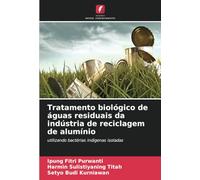 Tratamento biológico de águas residuais da indústria de reciclagem de alumínio: utilizando bactérias indígenas isoladas