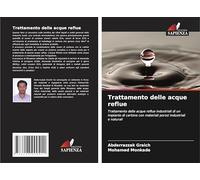 Trattamento delle acque reflue: Trattamento delle acque reflue industriali di un impianto di cartone con materiali porosi industriali e naturali
