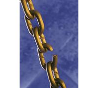 Trauma Un~Bonding: Rising from the Ashes