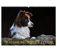 Traumhund Border Collie (Wandkalender 2026 DIN A2 quer), CALVENDO Monatskalender: Der Allrounder unter den Hunderassen in 13 bezaubernden Bildern