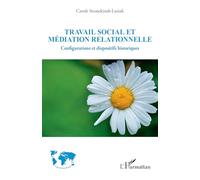 Travail social et médiation relationnelle: Configurations et dispositifs historiques (Espaces Interculturels)