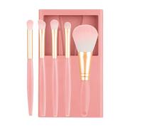 Travel Makeup Brush Set - Portable Cosmetic Brushes, Complete Function With Case And Mirror, Foundation Powder Concealer Eye Shadow Application, Beauty Tool Kit For Use
