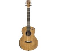 Traveler Guitar Redlands Concert